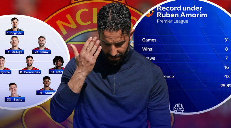 赛的胜率高, 打入了 赛的胜率高, 打入了